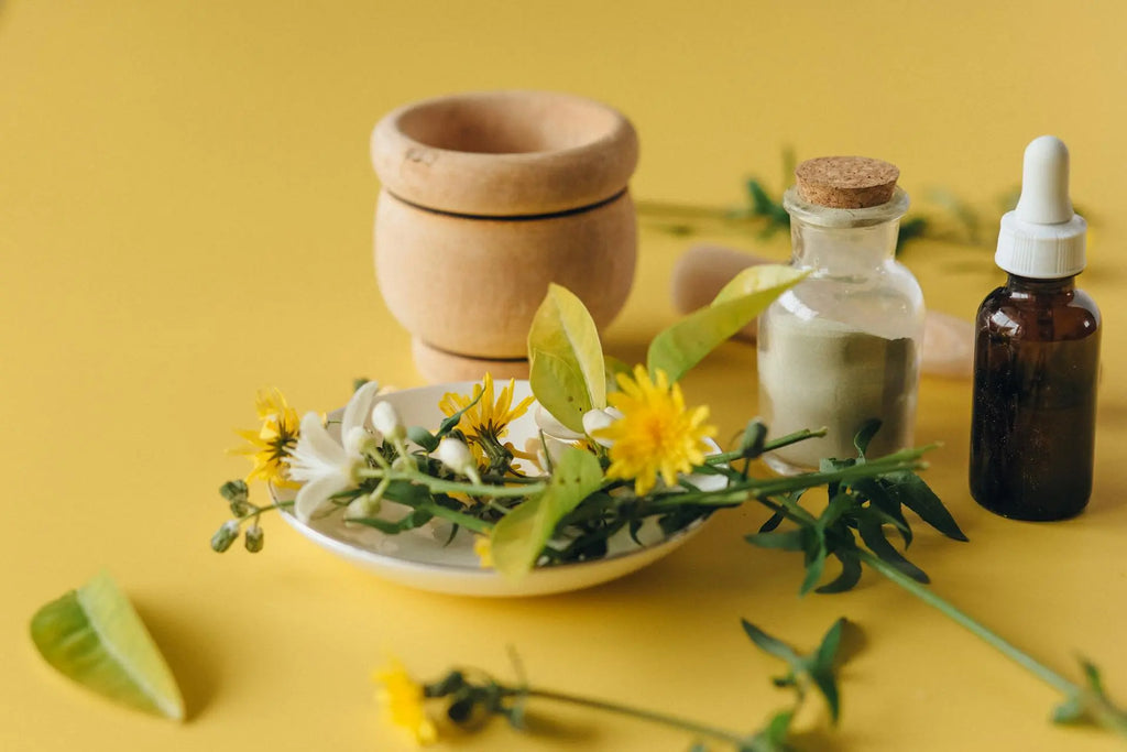 A Beginner’s Guide to Herbal Remedies for Common Ailments