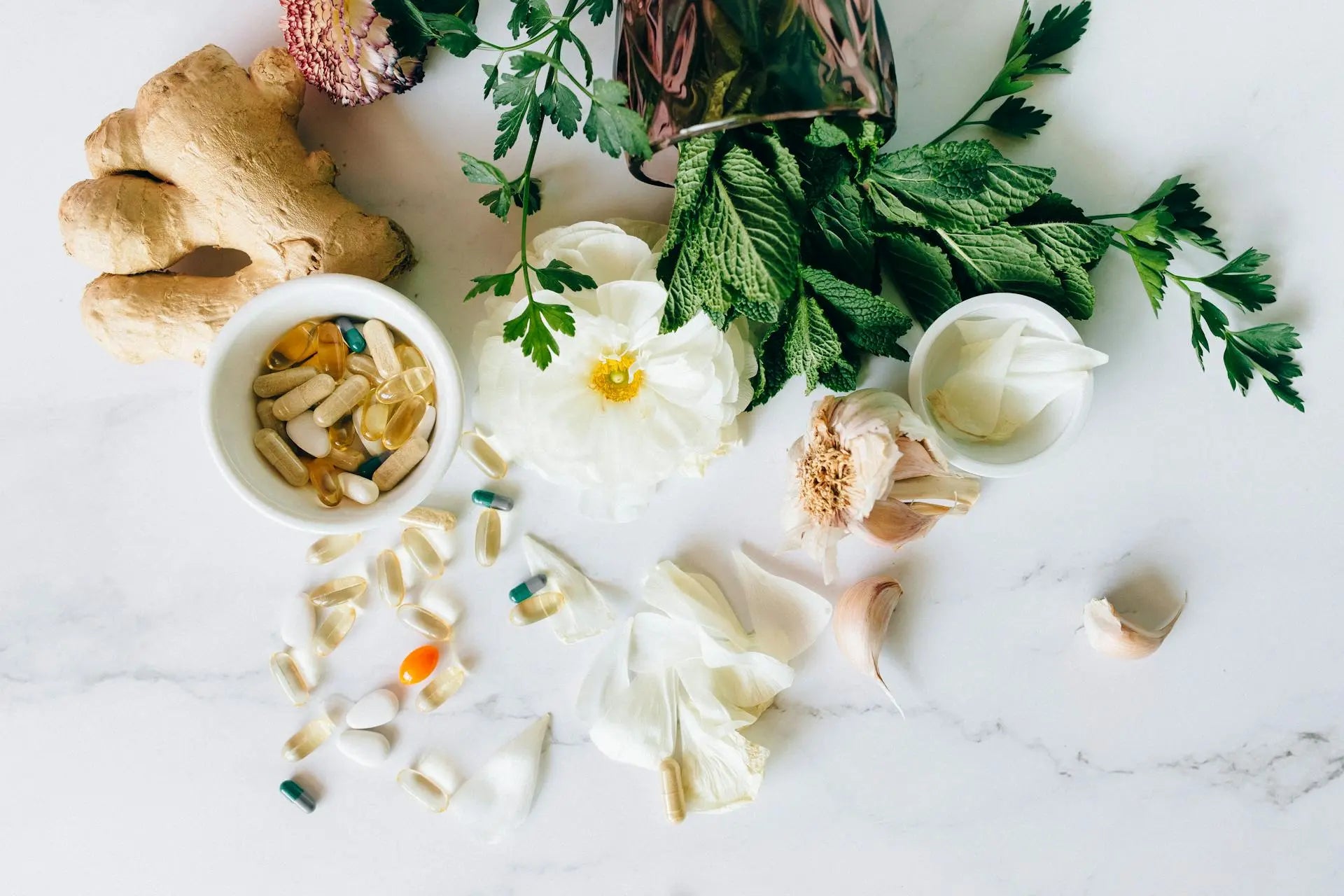 Herbal Remedies vs Homeopathy: Which One Should You Choose?